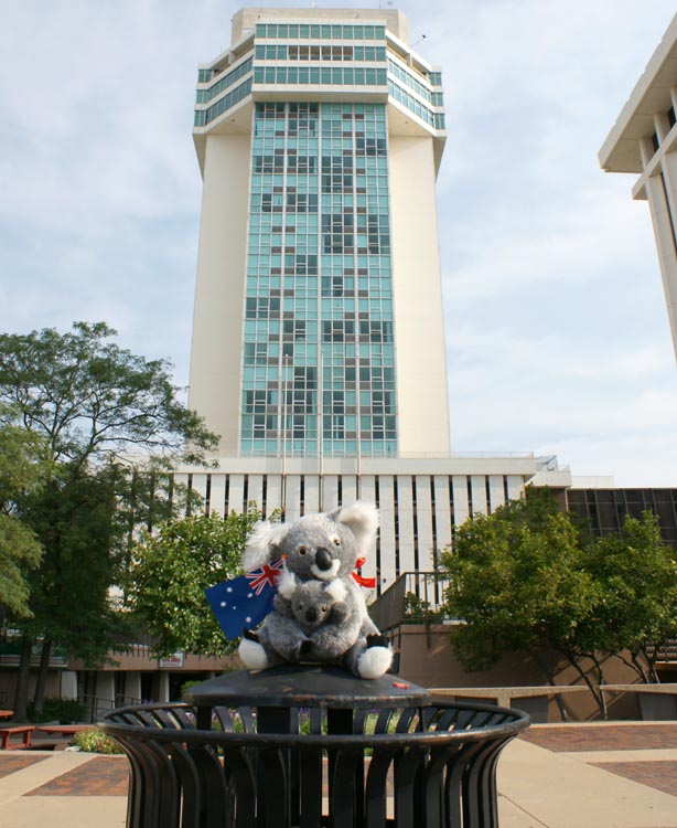 Wichita Holiday Inn Plaza
